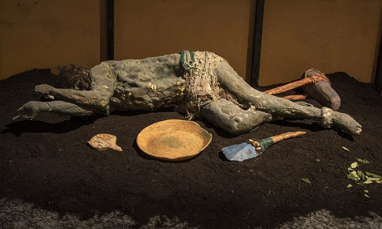 El Regreso del Hombre de Cobre