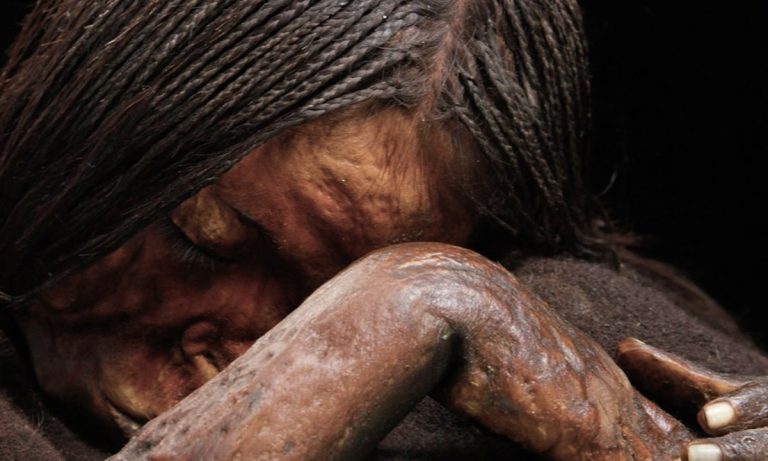 El Guardián de Los Andes